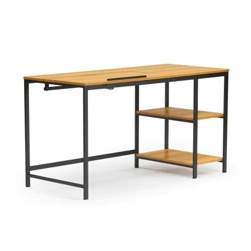 Multi-function Computer Desk with Adjustable Tiltable Stand Board