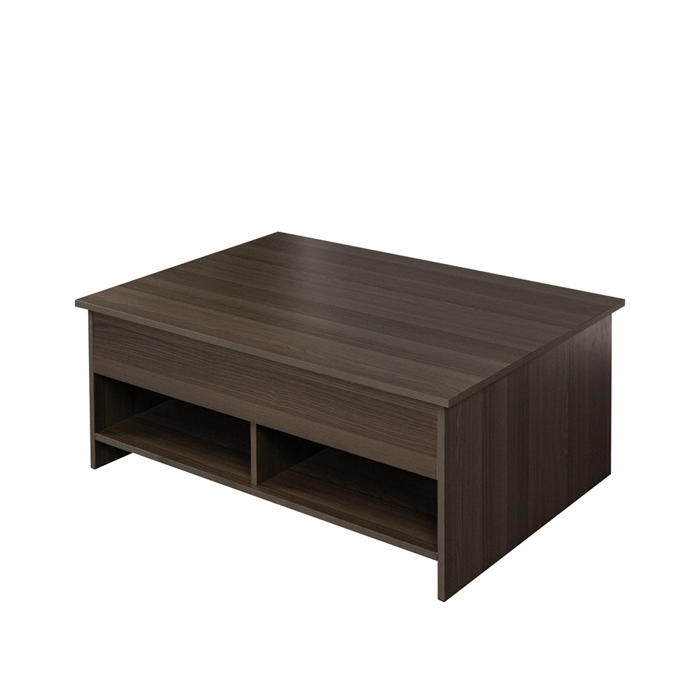 Lift Top Coffee Table with Hidden Compartment and Storage Shelves